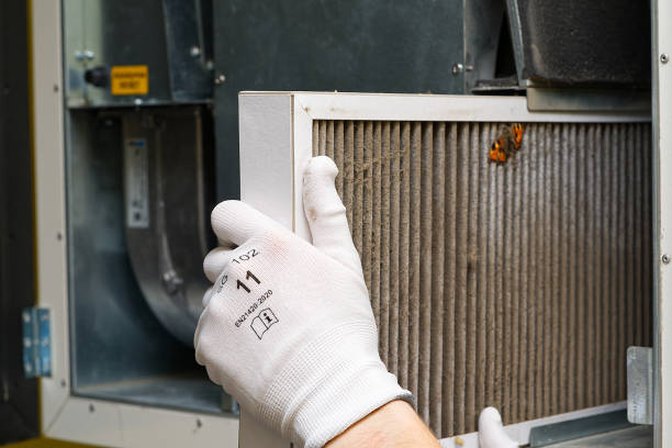 Best Air Duct Cleaning Near Me  in Katy, TX